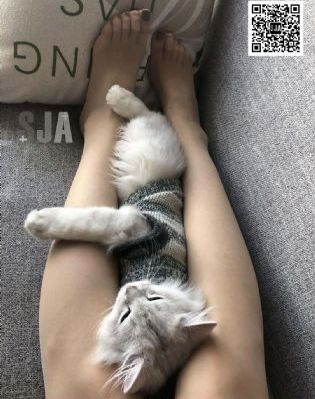 乱人伦中文字幕区_蓝光免费全集观看